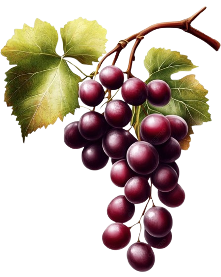 grapes